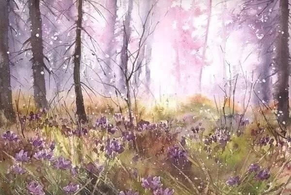 波兰画家Malgorzata Szczecinska森林自然水彩绘